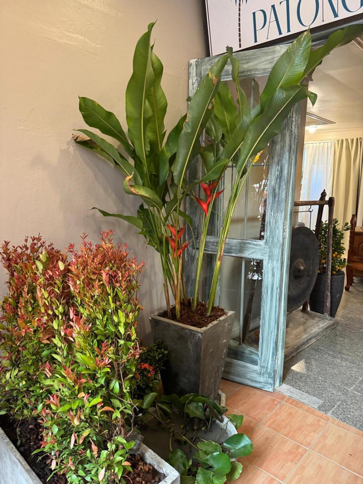 The Taksim Patong Beach Hotel 외부 사진